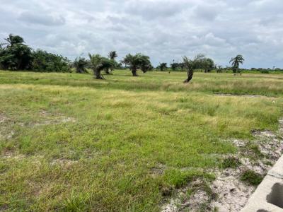 Crest, Ode Omi, Ibeju Lekki, Lagos, Residential Land for Sale