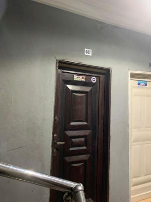 Astonished Mini Flat, Off Aborishade Street, Surulere, Lagos, Flat / Apartment for Rent