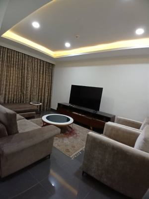 Luxury 2 Bedroom, Asokoro District, Abuja, Flat / Apartment for Rent
