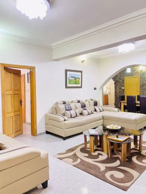 a Well Furnished 2 Bedroom for Party and Stay., Lekki Phase 1, Lekki, Lagos, Flat / Apartment Short Let