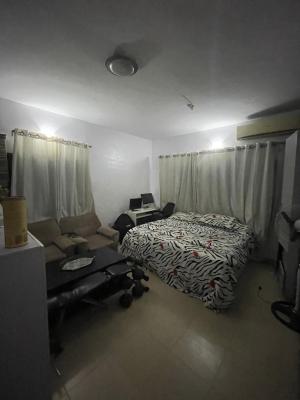 Nice Massive Studio Apartment, Igbefon, Lekki, Lagos, House for Rent
