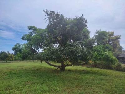 The Best Land for Land Banking for Huge Roi, Epe, Lagos, Land for Sale