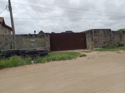 Mini-warehouse on on a Land Measuring 2,700sqm, Off Ago Palace Way, Amuwo Odofin, Lagos, Warehouse for Sale