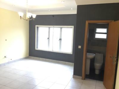 Fully Fitted 2 Bedroom Flats, Lekki Phase 1, Lekki, Lagos, Flat / Apartment for Rent