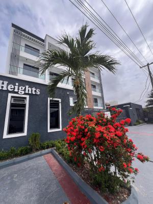 Exquisite 2 Bedroom Apartment with an Elevator, Exquisite 2 Bed Apartment with an Elevator Perfect for Investment, Lekki Phase 1, Lekki, Lagos, Flat / Apartment for Sale