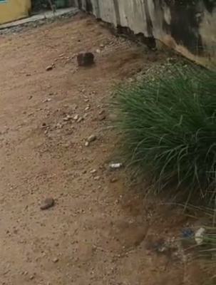 a Standard, Solid Land, Aguda, Surulere, Lagos, Commercial Land for Rent