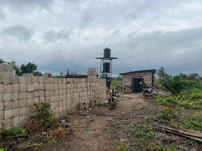 Own an Affordable Fertile Farmland with As Low As a 100k Deposit, Fertile Farmland with a Promo Offer , Buy 5 Plots Get 1 Free, Alabata, Abeokuta North, Ogun, Land for Sale