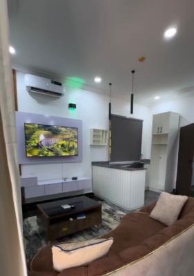 a Standard Furnished 1 Bedroom Apartment, Jahi, Abuja, Mini Flat (room and Parlour) for Rent
