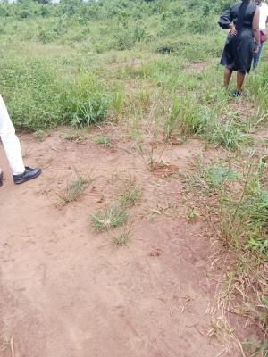 Westwood Estate, Along Utulu Road Off Asaba -benin Express Way, Asaba, Delta, Mixed-use Land for Sale