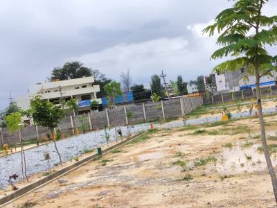 Residential Estate Land with C of O Title, Asokoro District, Abuja, Residential Land for Sale