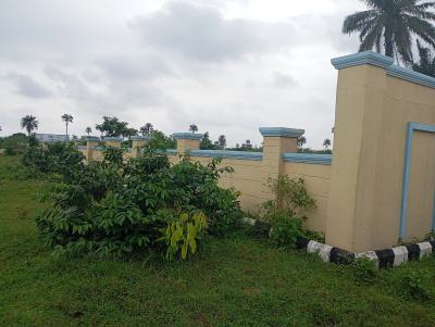 Your Future Invest Awaits You, Ibusa Oshimili North, Asaba, Delta, Mixed-use Land for Sale