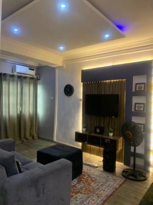 Nicely Fully Furnished 1 Bedroom Apartment with Solar Panel, Off Admiralty Way, Lekki Phase 1, Lekki, Lagos, Mini Flat (room and Parlour) for Rent