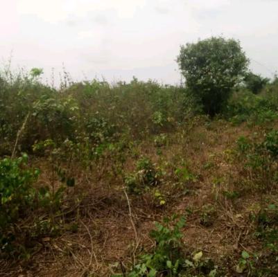 Plots of Land Is Available, Atan Ota Area, Sango Ota, Ogun, Mixed-use Land for Sale