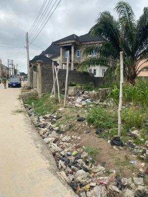 Facing The Interlocked: Half Plot of, Goodnews Estate, Sangotedo, Ajah, Lagos, Land for Sale