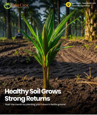 Affordable (c of O) Agro Palm + Free Palms + Free Planting. Yewa Ogun, Yelwa North Ogun State, Abeokuta North, Ogun, Commercial Land for Sale