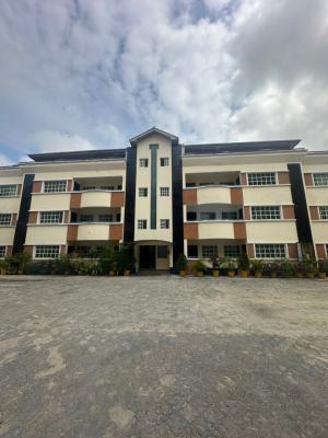 Serviced 2 Bedroom Apartment, Ikoyi, Ikoyi, Lagos, Flat / Apartment for Rent