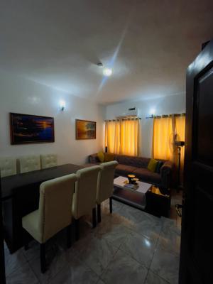 2 Bedroom Apartment with Inverter, Monastery Road, Sangotedo, Ajah, Lagos, Flat / Apartment for Rent