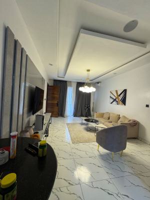 Nice 2 Bedroom Apartment Fully Furnished Good for Shot Stay Business, Orchid Road Lekki Before Round About, Lekki, Lagos, Block of Flats for Sale