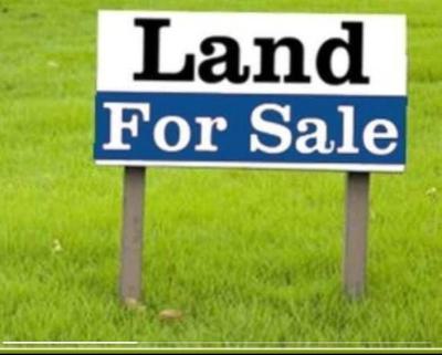 Federal Cofo  / 500sqm Banana Islan Land, 3rd Avenue, Banana Island, Ikoyi, Lagos, Mixed-use Land for Sale