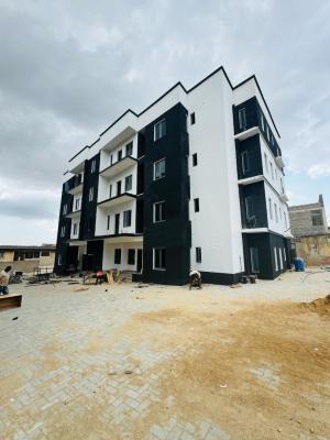 Exquisitely Built 3 Bedroom Apartment with a Bq, Spacious Rooms|spacious Car Park|tarred Road| Proximity to Airport, Ogba, Ikeja, Lagos, Block of Flats for Sale