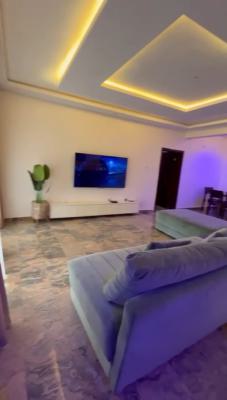 Well Finished and Furnished 3 Bedroom Flat, Maitama District, Abuja, Flat / Apartment for Rent
