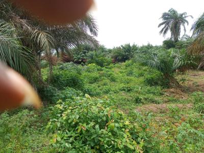 10 Plots of 100% Dry Land Facing Major Road, Oribanwa Phase2, Oribanwa, Ibeju Lekki, Lagos, Mixed-use Land for Sale