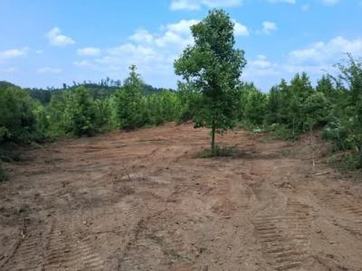 Farmland of 20 Acres, Abeokuta North, Ogun, Land for Sale