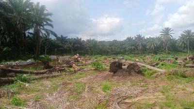Registered Land Available with Genuine Documents with Fast Allocation, Obingwa Umuibe Ohanze Ogborhills, Aba, Abia, Land for Sale