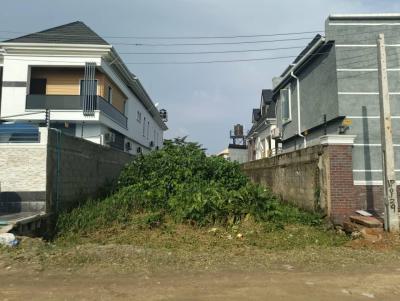 Half Plot of Land in an Estate with C of O, Buy and Build, Ago, Okota, Isolo, Lagos, Mixed-use Land for Sale