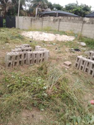 Full Plot of Land Fenced and Gated with Solid Foundation on a Serene, Oreta, Igbogbo, Ikorodu, Lagos, Mixed-use Land for Sale