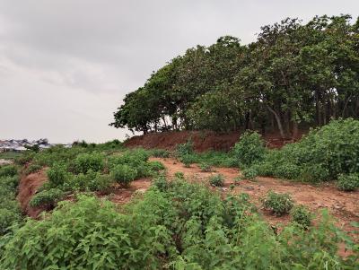 Residential Plot, Beside Paradise Estate 1, Katampe (main), Katampe, Abuja, Residential Land for Sale