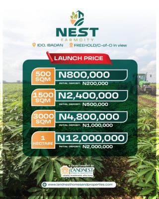 Affordable Farm Land, Ido, Oyo, Land for Sale