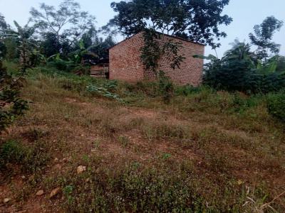 Bushy Land Suitable for Longtime Investment, Land Banking, Jikwoyi, Abuja, Land for Sale