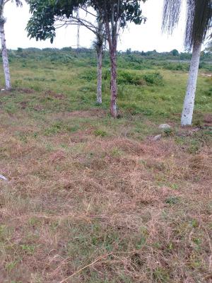 Dry Affordable Land, Along Futo Junction to Ilile Road, Obinze, Owerri Municipal, Imo, Land for Sale