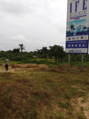 Land, Ogii-okpara Road, Okigwe, Imo, Land for Sale