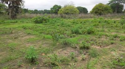 Strategic Residential Land, Wuye, Abuja, Residential Land for Sale