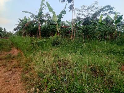 Farming Estate with Good Soil Texture, Obada Oko, Abeokuta South, Ogun, Land for Sale