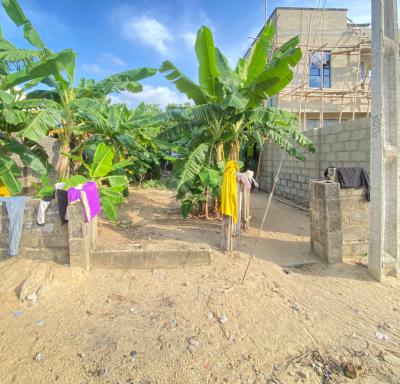 Half Plot of Dryland Measuring 330sqm at Alashela Estate, Alashela Estate Ogombo, Ajah, Lagos, Residential Land for Sale