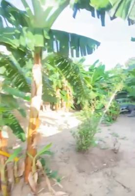 Half Plot of Land, Ogombo, Ajah, Lagos, Land for Sale