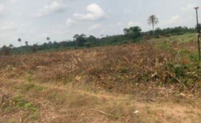 600sqm Dry Land in a Fenced Estate, Opposite Lekki Coastal Road, at Folu Ise Road, Ibeju Lekki, Lagos, Residential Land for Sale