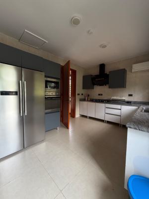Luxury Detached Furnished 4 Bedroom Duplex, Jabi, Abuja, Detached Duplex for Rent
