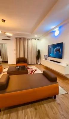 a Standard Fully Furnished 2 Bedroom Apartment, Jahi, Abuja, Flat / Apartment for Rent