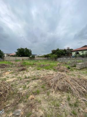 Buy and Build Full Plot of Land, Maryland, Lagos, Residential Land for Sale