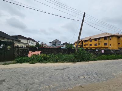 2&half Plot of Landin a Prime Location, Ajah, Lagos, Land for Sale