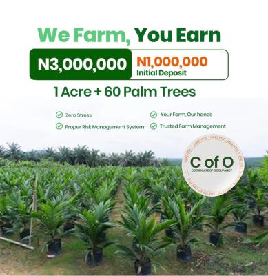 We Farm, You Earn with Oil Palm  Plantation, Yewa,north, Abeokuta North, Ogun, Industrial Land for Sale