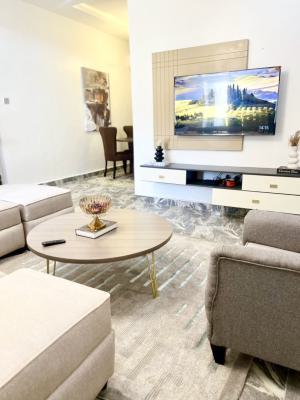 Luxury 3 Bedroom Furnished Apartment, Asokoro, Asokoro District, Abuja, Flat / Apartment for Rent