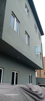 Luxury 3 Bedroom Apartment, Ajose Street, Off Jubril Martins Street, Surulere, Lagos, Flat / Apartment for Rent