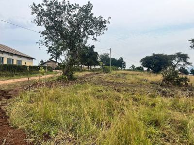 Farm Land with Good Documents, Ido, Oyo, Land for Sale