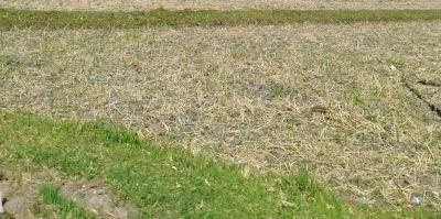 Land Measuring 1,000sqm on 310 Close, Banana Island, Ikoyi, Lagos, Residential Land for Sale