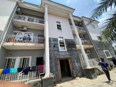 Beautifully Designed 3 Bedroom Spacious Apartment, on a  Tarred Road, Wuye, Abuja, Flat / Apartment for Rent
